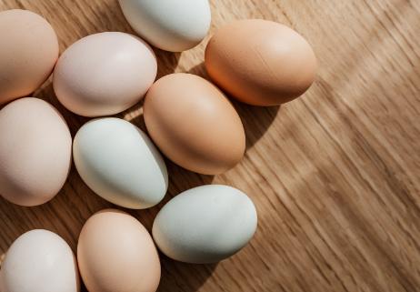 HRプロテインのタンパク質吸収率を科学的に解説