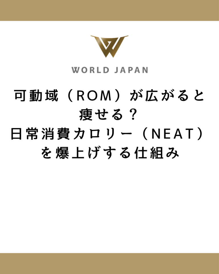可動域（ROM）が広がると痩せる？日常消費カロリー（NEAT）を爆上げする仕組み